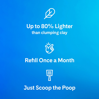 PrettyLitter Health Monitoring Cat Litter That Changes Color